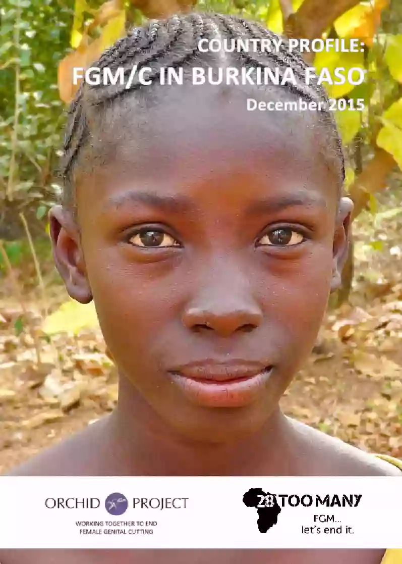 Country Profile: FGM/C in Burkina Faso (2015, English)